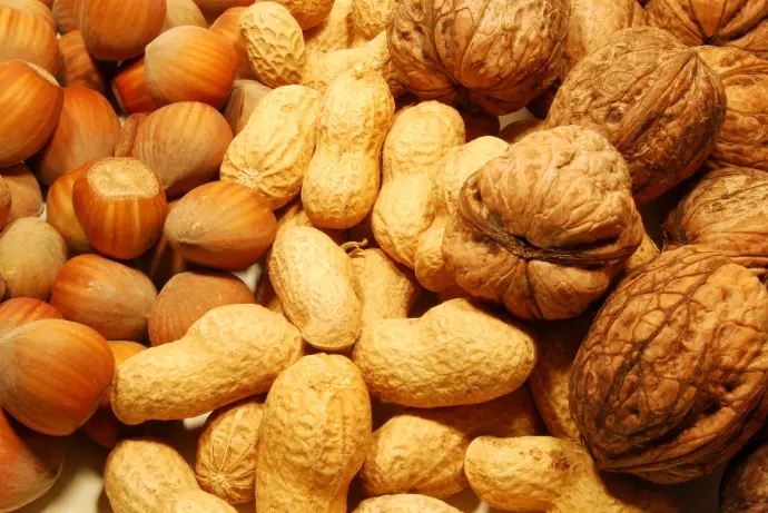 ©francovolpato-Fotolia Agro alimentaire fruits à coque